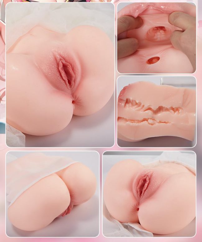 Mông nguyên khối COC Hayami 1.5kg chất lượng cao giá tốt