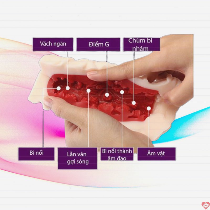 Âm đạo giả Leten 3D đỏ thật chân thực kích thích phê 