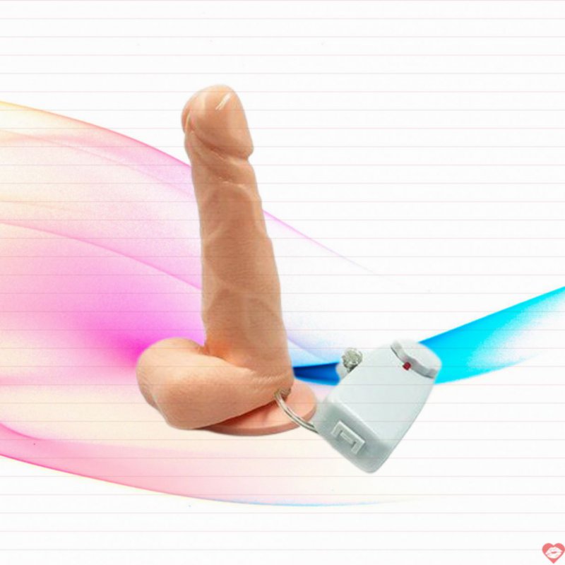 Dương vật giả rung ngoáy gắn tường giá rẻ siêu kích thích 