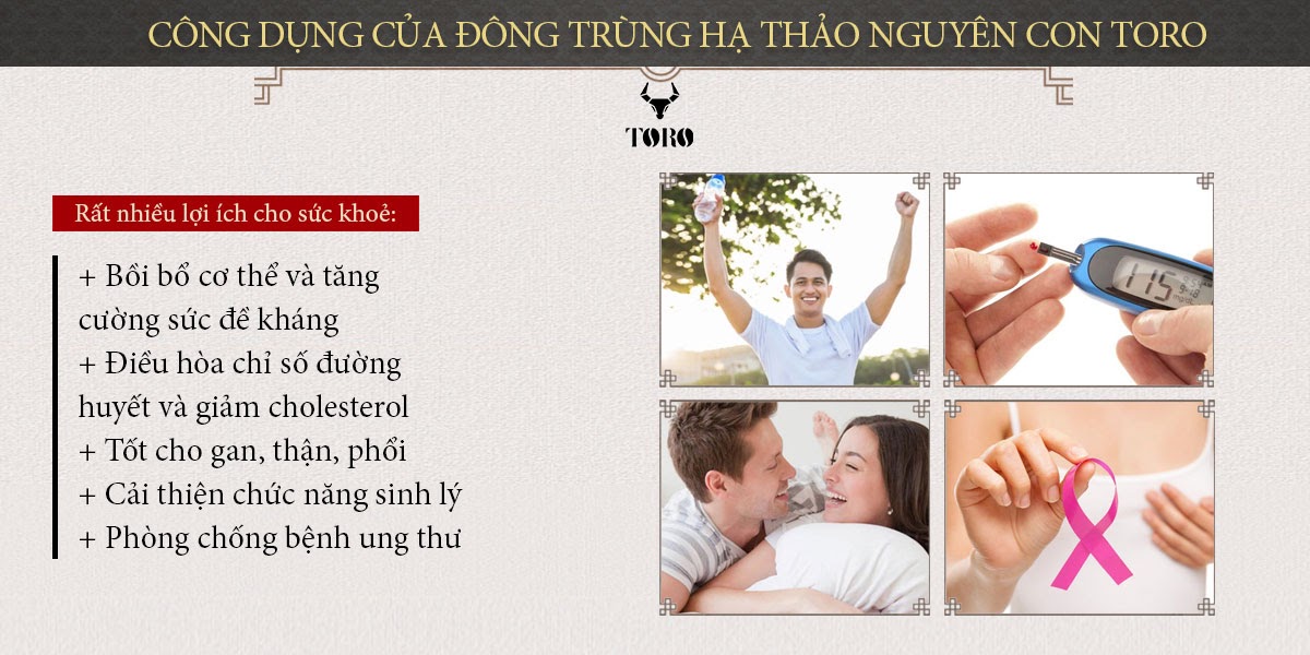  Sỉ Đông trùng hạ thảo cao cấp nguyên con - Tăng cường sinh lý bồi bổ cơ thể - 5g giá sỉ