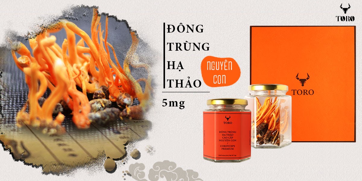  Sỉ Đông trùng hạ thảo cao cấp nguyên con - Tăng cường sinh lý bồi bổ cơ thể - 5g mới nhất