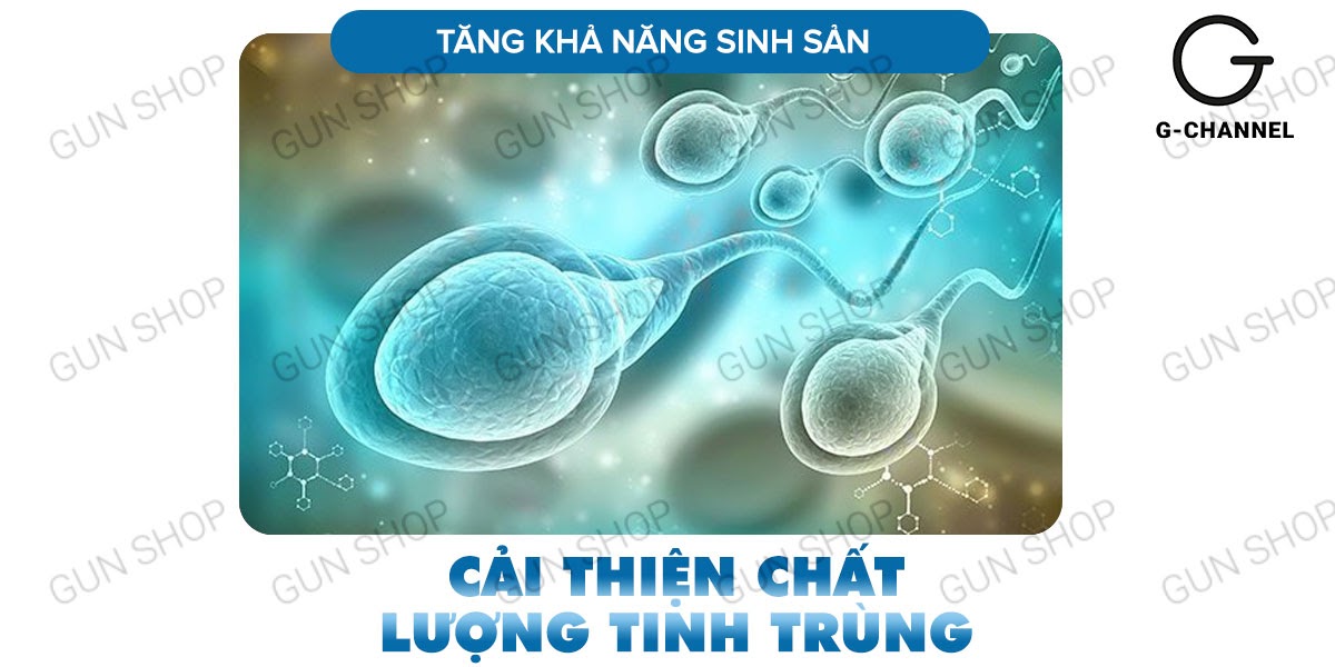  So sánh Viên uống hỗ trợ cương dương tăng cường sinh lý Maxman - Hộp 10 viên chính hãng